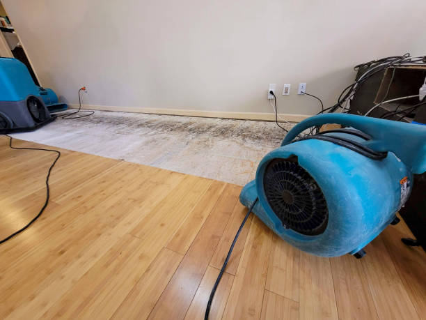 Reliable Basement Flood Cleanup contractor in Norwood, OK by Hirex Water Damage