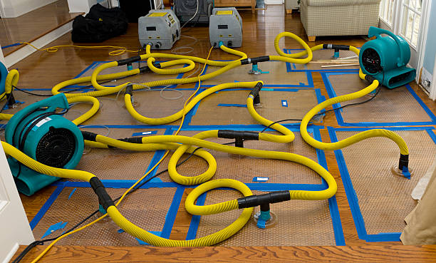 Professional Basement Flood Cleanup technician working in Norwood, OK